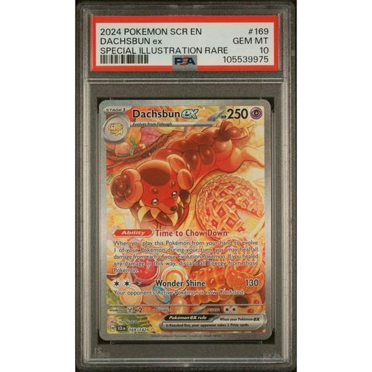 PSA 10 Dachsbun ex 169/142 Sv07: Stellar Crown Holo